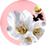 연애운세풀이