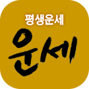 평생운세